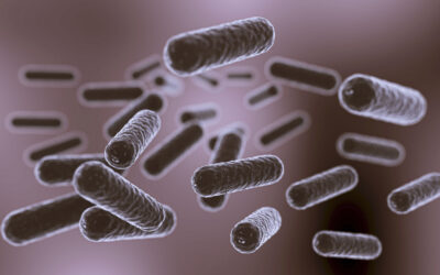 Legionella