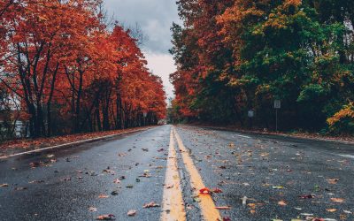 De herfst is in aantocht: tijd en aandacht voor veiligheid en gezondheid op het werk