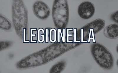 Legionella-uitbraak in New York: ook in Nederland een risico